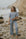Blue luxury loungewear set for women.